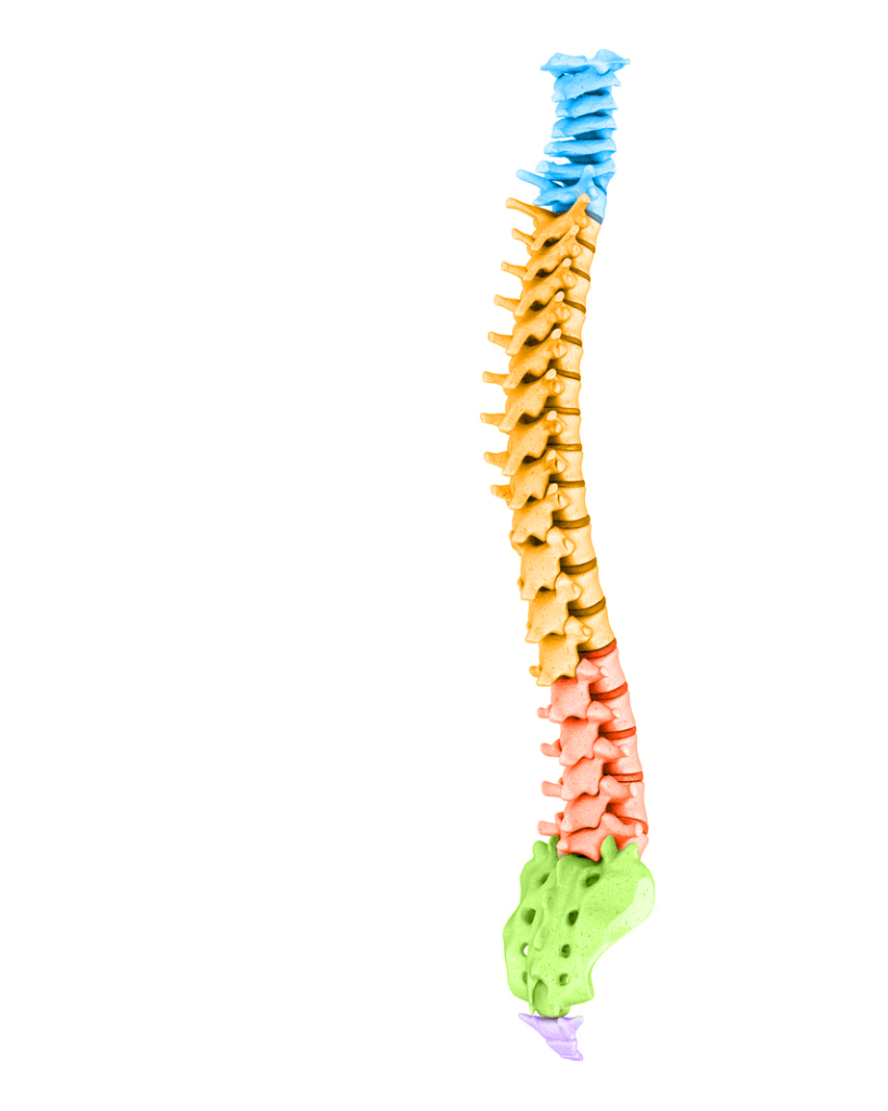 Alpha Spine Health & Injury Center in Eagan, MN